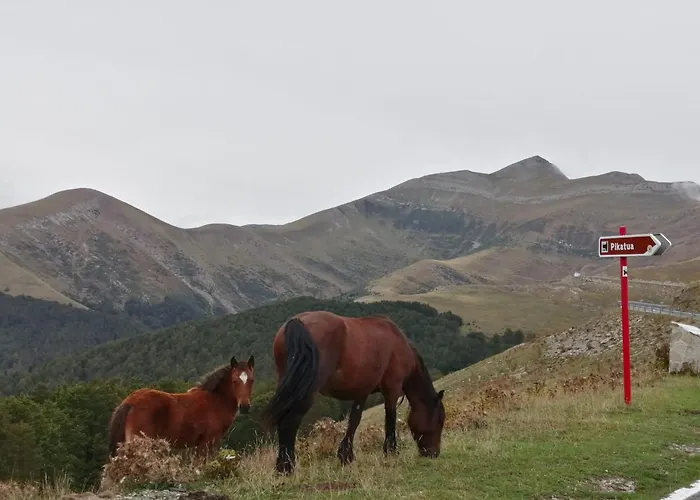 Hostal OrialdeHostal